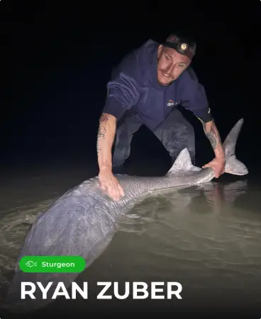 Ryan Zuber landing a trophy sturgeon at night using a Catch the Fever heavy-power rod
