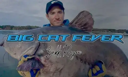 Pro angler Zakk Royce presenting a giant catfish beside the Big Cat Fever Rod Series branding.