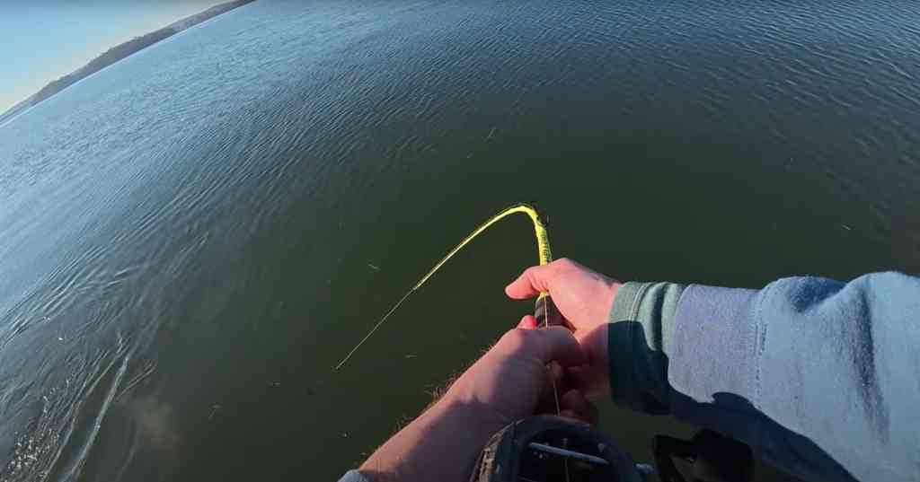 Angler’s bright-yellow Hellcat rod bends deeply over calm winter water.
