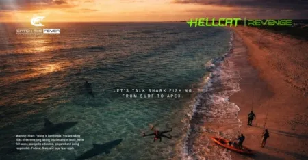 Aerial sunset view of a shoreline with anglers and a kayak preparing for surf shark fishing, with shark silhouettes offshore.