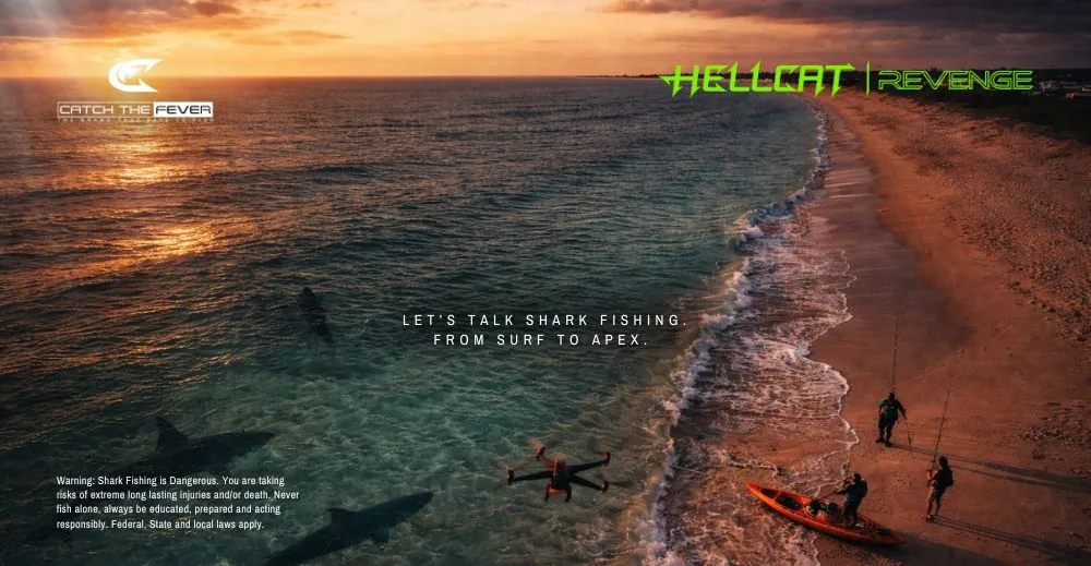 Aerial sunset view of a shoreline with anglers and a kayak preparing for surf shark fishing, with shark silhouettes offshore.